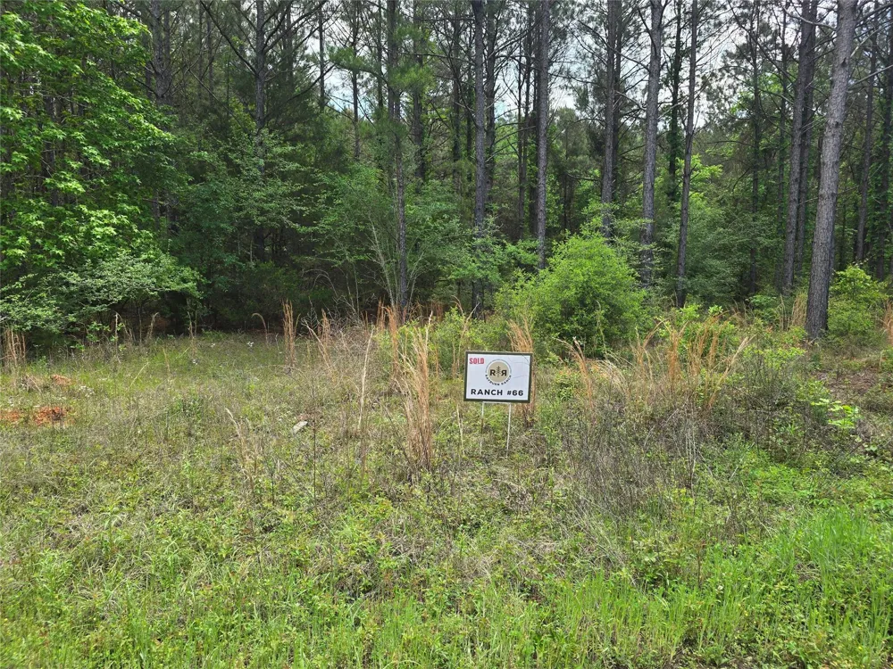 66 Cr 4248 San Augustine, TX 75972