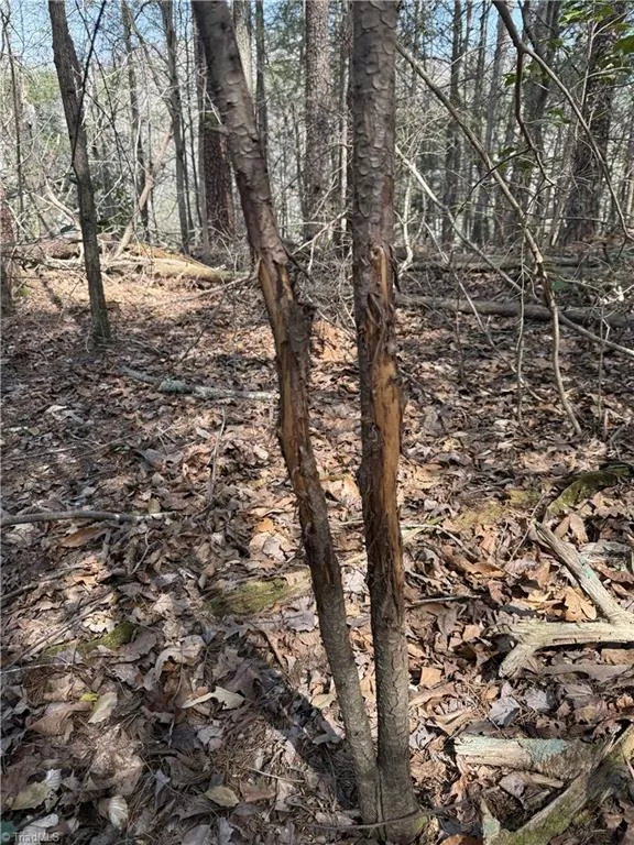 0 Fisher Road Pinnacle, NC 27043
