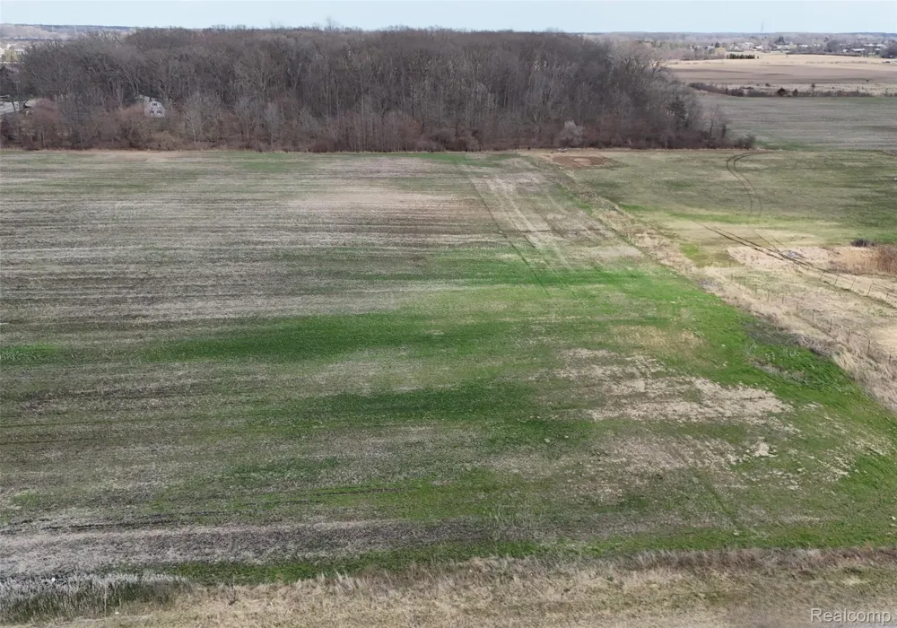 Briar Hill Road Ash Township, MI 48117
