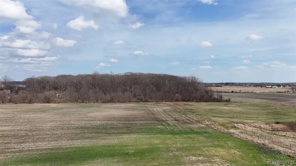 Briar Hill Road Ash Township, MI 48117
