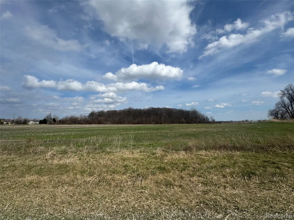 Briar Hill Road Ash Township, MI 48117