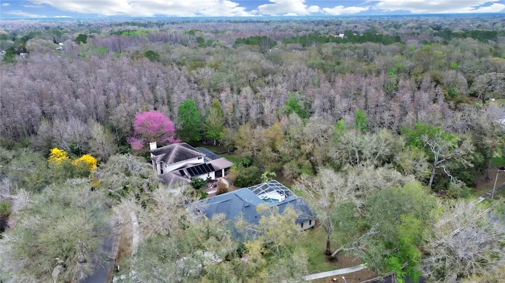 17307 OAK LEDGE DRIVE Lutz, FL 33549