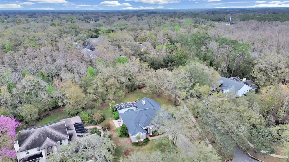 17307 OAK LEDGE DRIVE Lutz, FL 33549