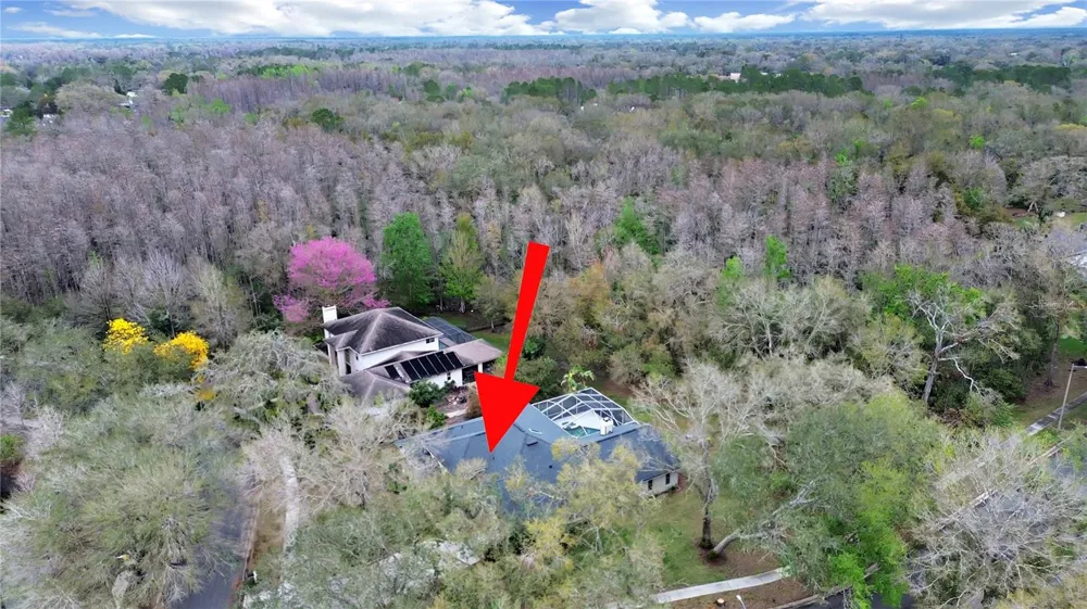 17307 OAK LEDGE DRIVE Lutz, FL 33549
