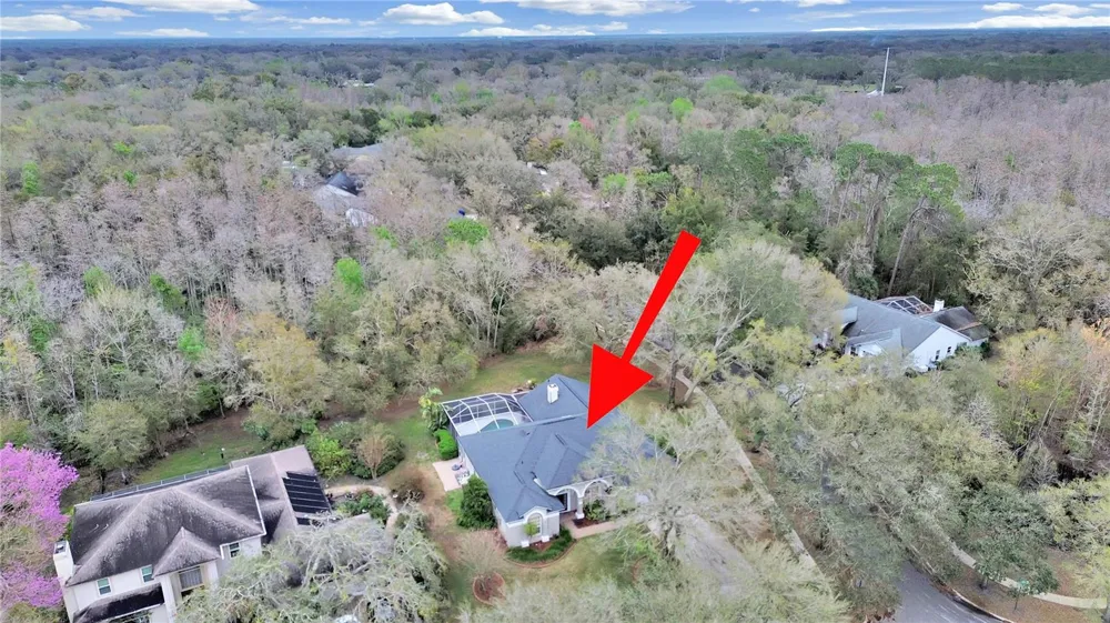 17307 OAK LEDGE DRIVE Lutz, FL 33549