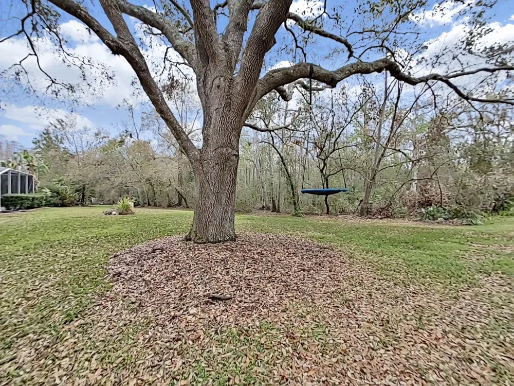 17307 OAK LEDGE DRIVE Lutz, FL 33549