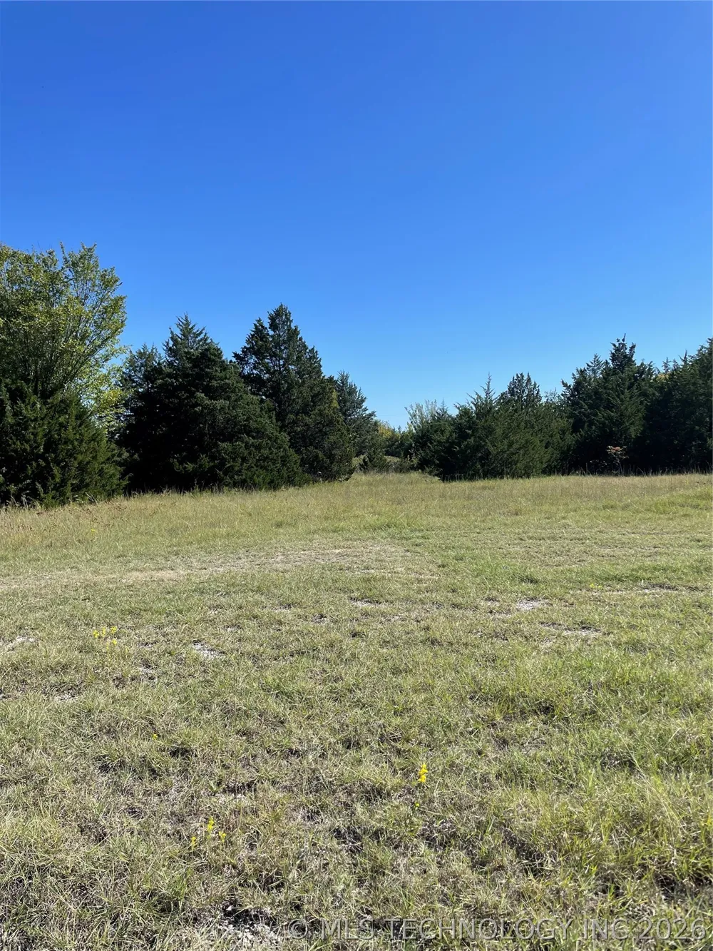 Wayne Burneyville, OK 73430