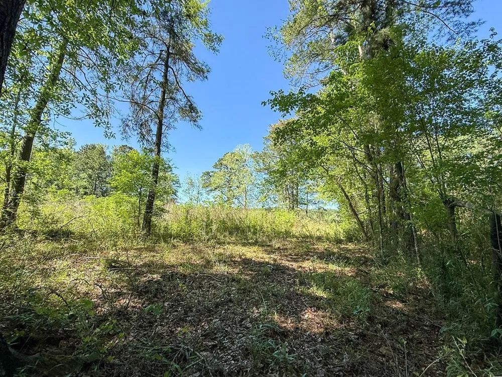 Flat Road Milam, TX 75930