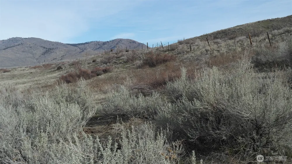 4 Brook Trout Lane Methow, WA 98834