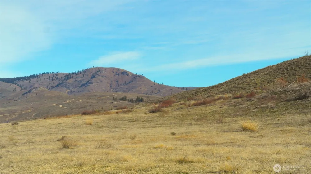 4 Brook Trout Lane Methow, WA 98834