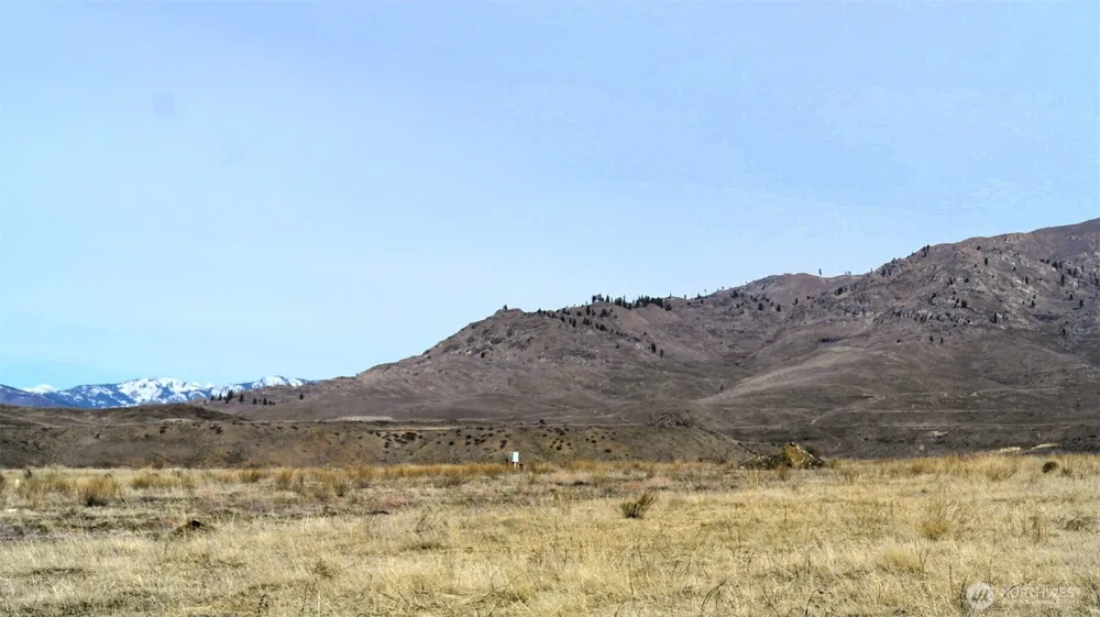 4 Brook Trout Lane Methow, WA 98834