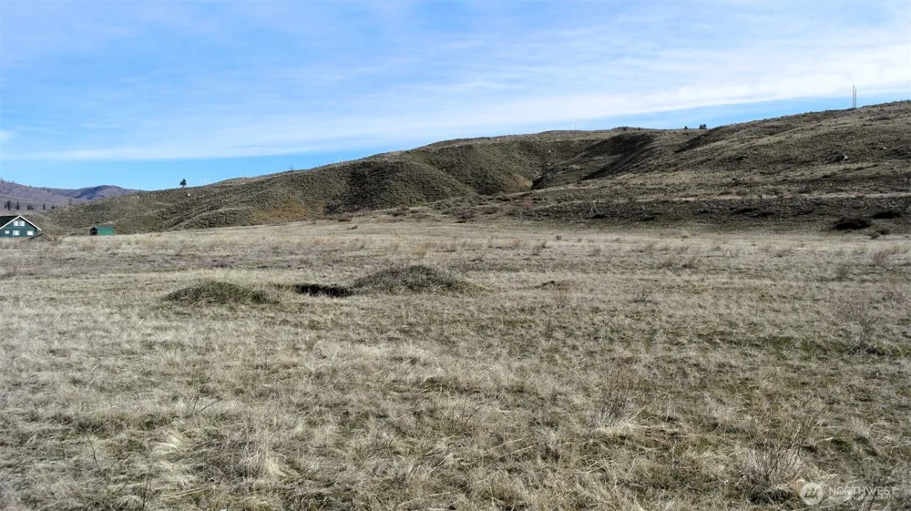 4 Brook Trout Lane Methow, WA 98834