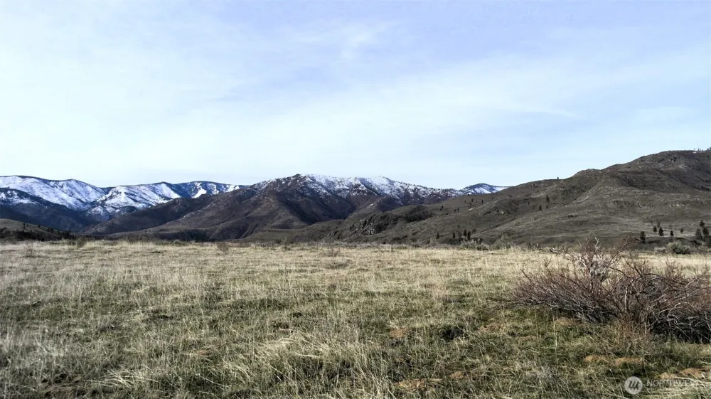 4 Brook Trout Lane Methow, WA 98834
