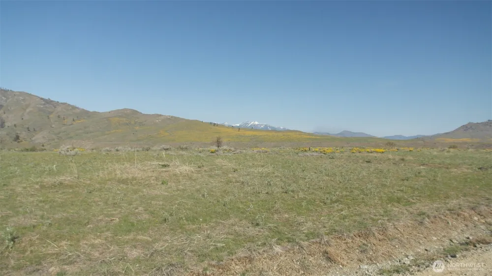 4 Brook Trout Lane Methow, WA 98834