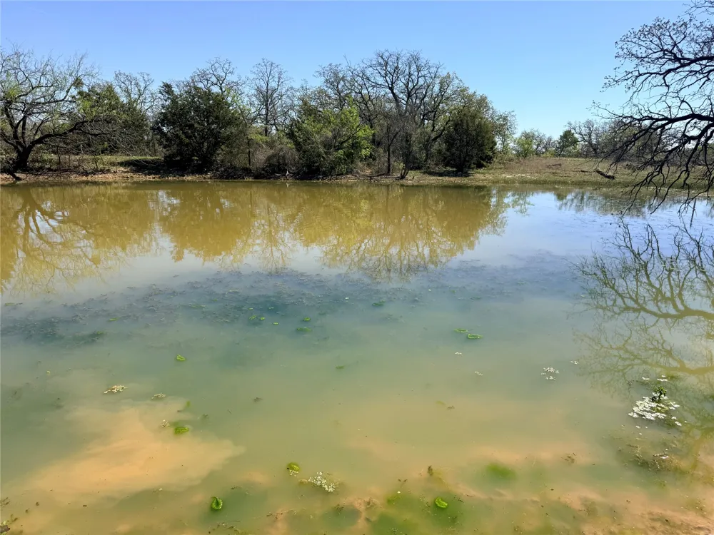 421 Erwin Jacksboro, TX 76458