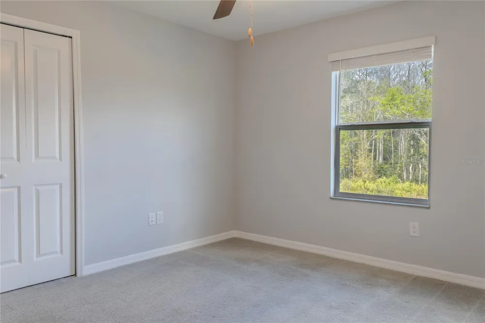 17711 NECTAR FLUME DRIVE Land O Lakes, FL 34638
