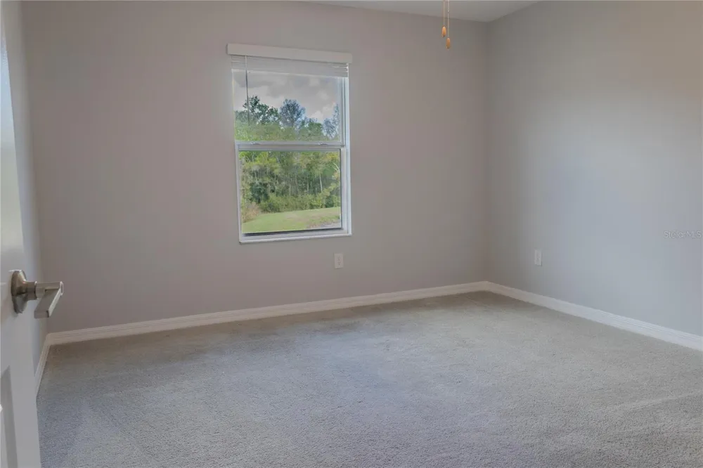 17711 NECTAR FLUME DRIVE Land O Lakes, FL 34638
