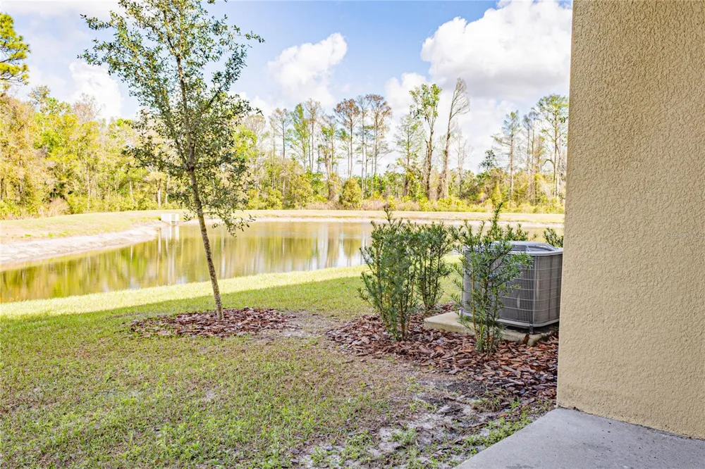 17711 NECTAR FLUME DRIVE Land O Lakes, FL 34638