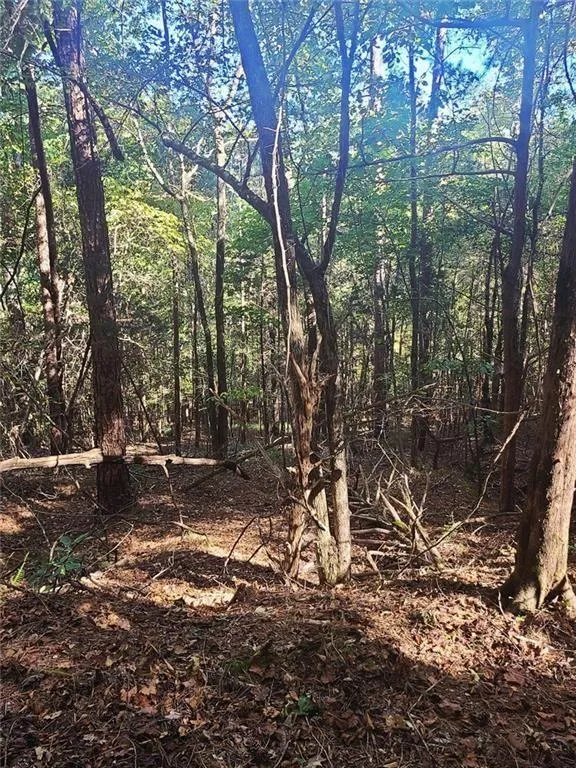 700 Gadsden Road SW Cave Spring, GA 30124