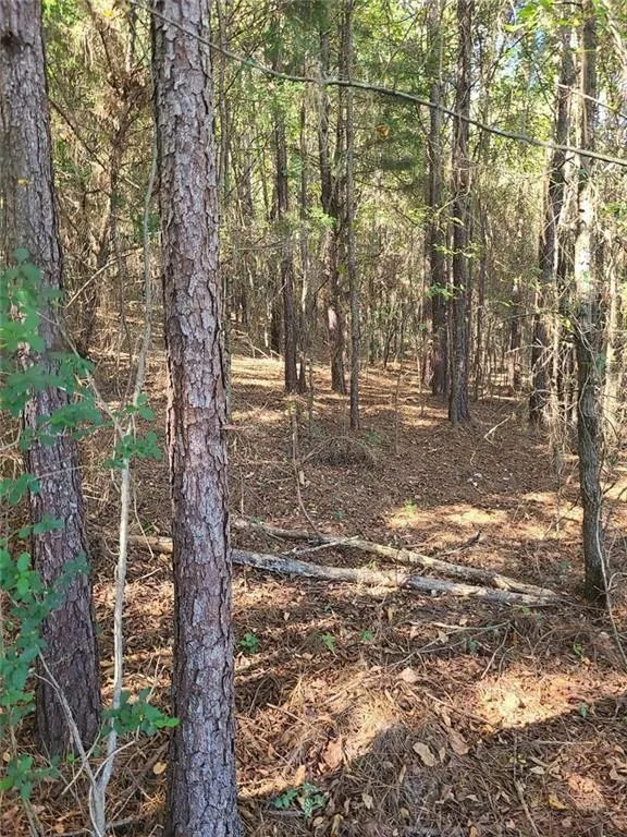 700 Gadsden Road SW Cave Spring, GA 30124