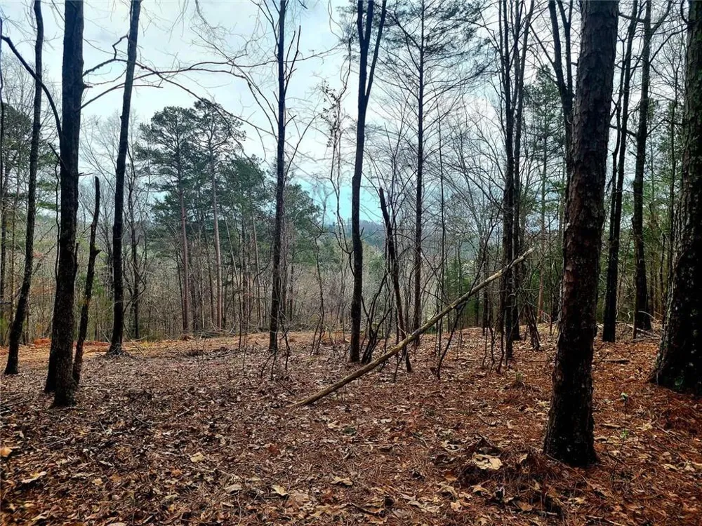 700 Gadsden Road SW Cave Spring, GA 30124