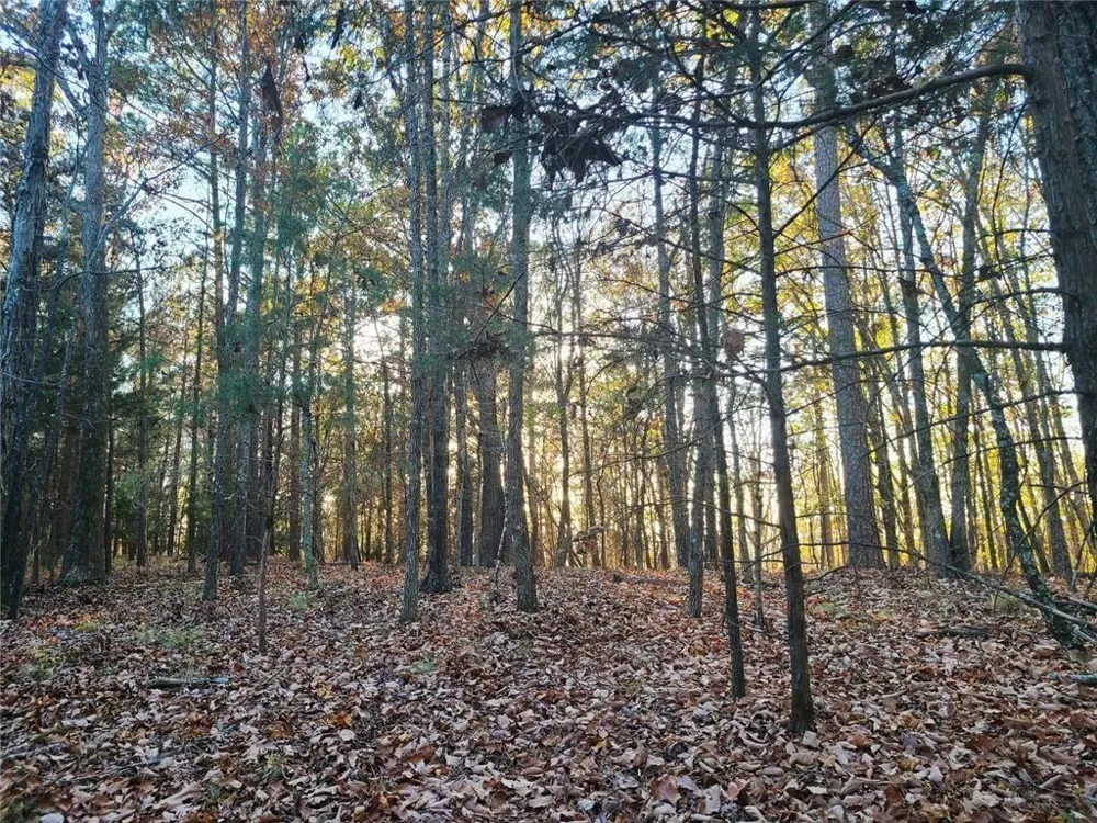 700 Gadsden Road SW Cave Spring, GA 30124