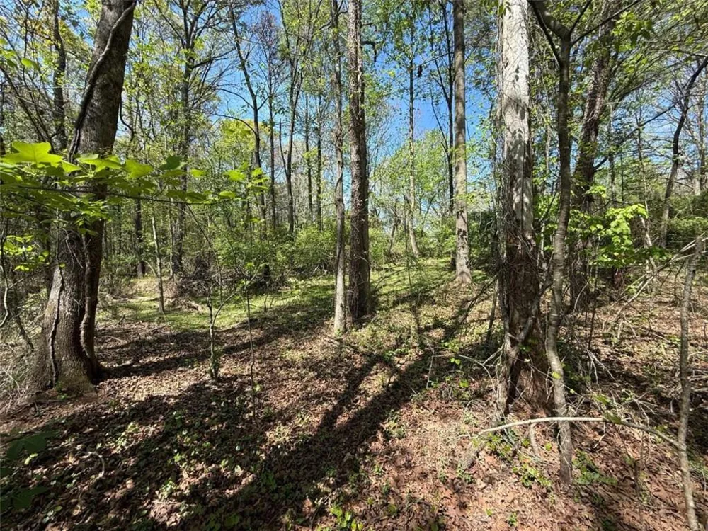 0 Panhandler Circle (2B) Maysville, GA 30558