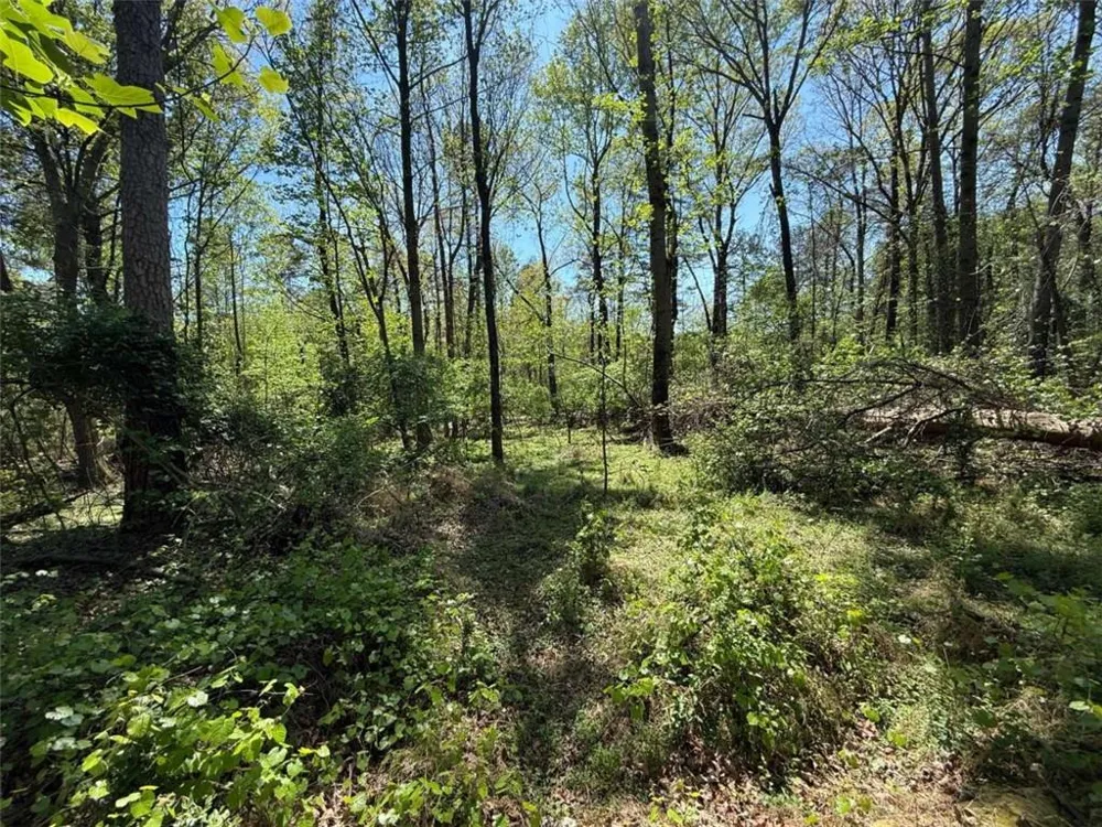 0 Panhandler Circle (2B) Maysville, GA 30558
