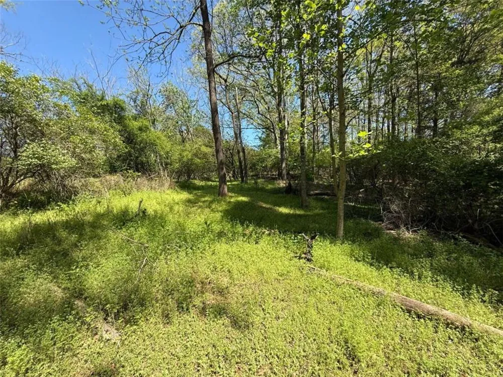 0 Panhandler Circle (2B) Maysville, GA 30558