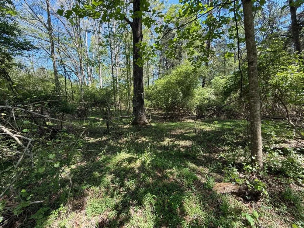0 Panhandler Circle (2B) Maysville, GA 30558