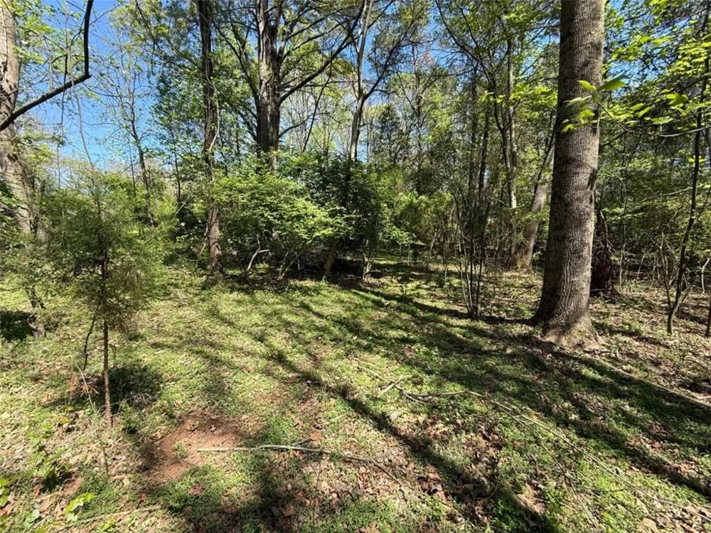 0 Panhandler Circle (2B) Maysville, GA 30558