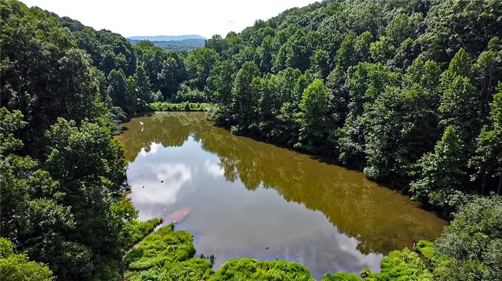 1565 Shoal Creek Road NW Clermont, GA 30527