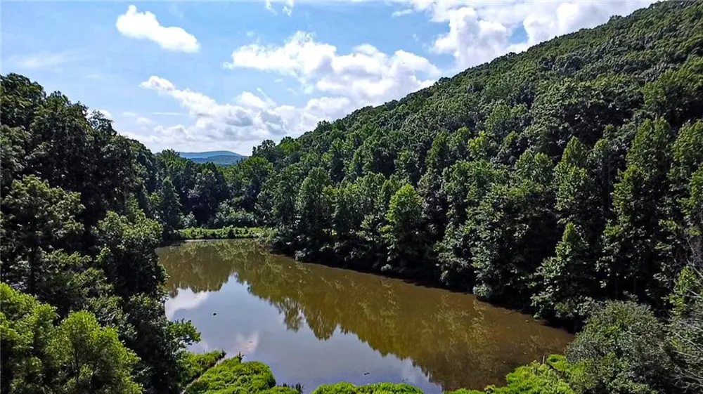 1565 Shoal Creek Road NW Clermont, GA 30527