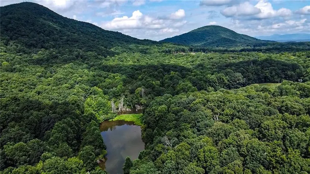 1565 Shoal Creek Road NW Clermont, GA 30527