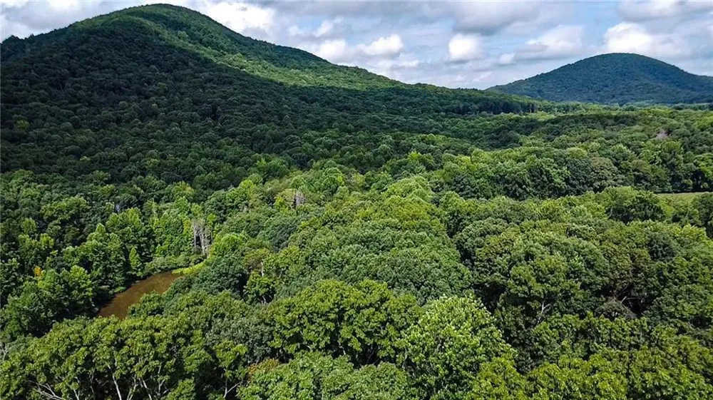 1565 Shoal Creek Road NW Clermont, GA 30527