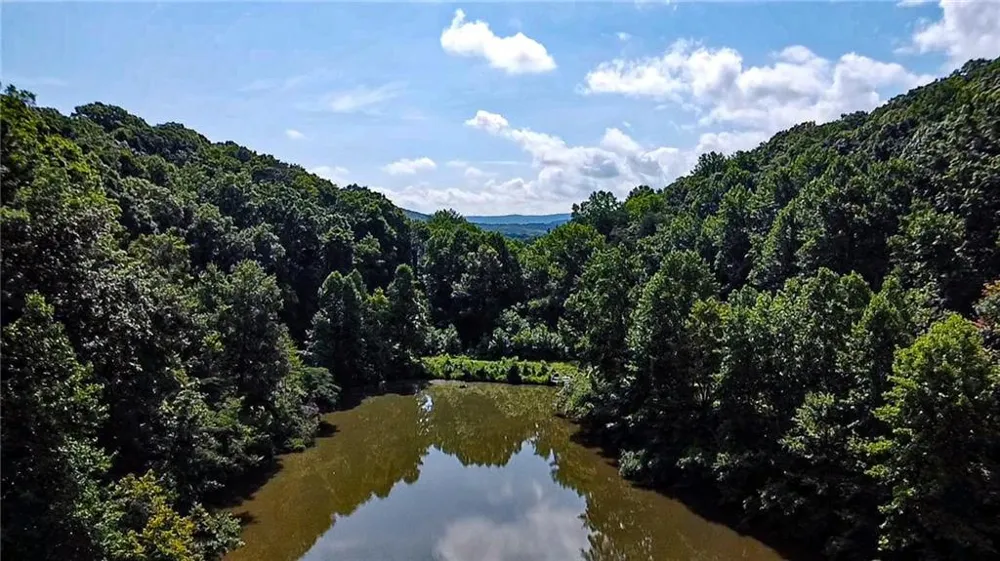 1565 Shoal Creek Road NW Clermont, GA 30527