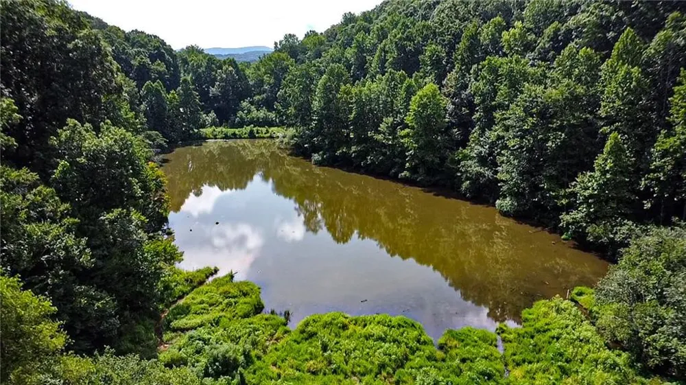 1565 Shoal Creek Road NW Clermont, GA 30527