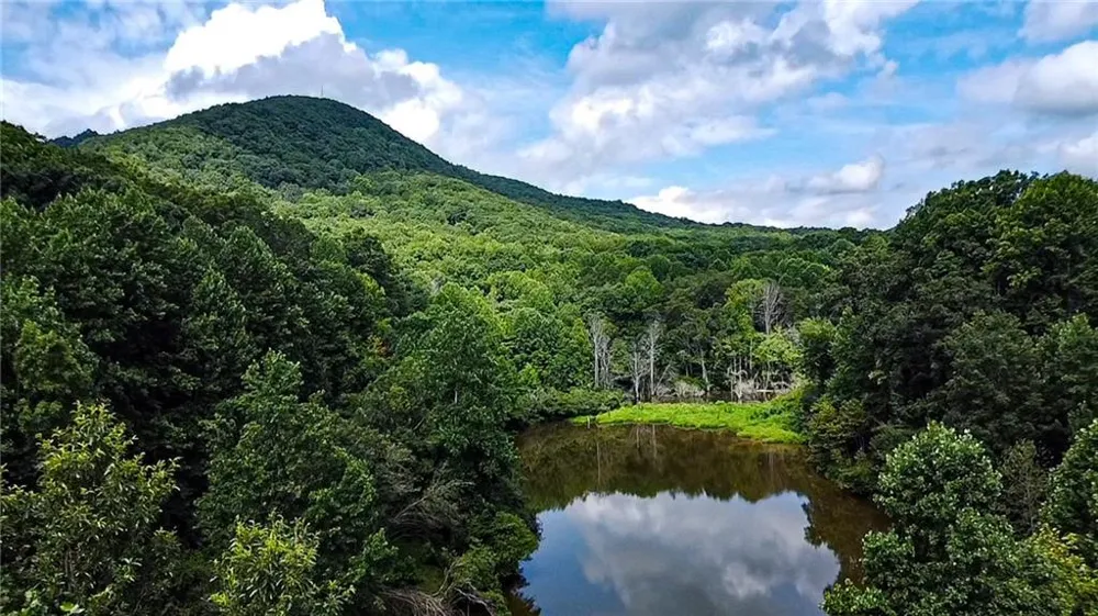 1565 Shoal Creek Road NW Clermont, GA 30527