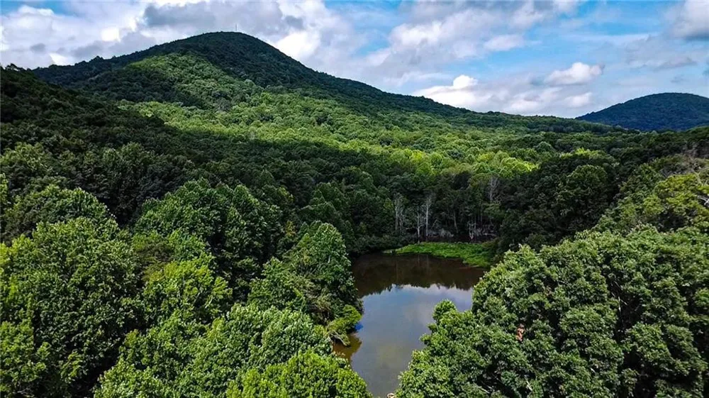 1565 Shoal Creek Road NW Clermont, GA 30527