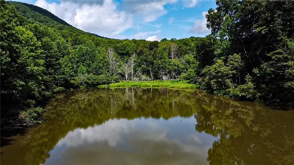1565 Shoal Creek Road NW Clermont, GA 30527
