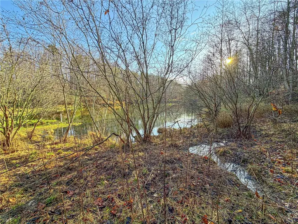 1565 Shoal Creek Road NW Clermont, GA 30527
