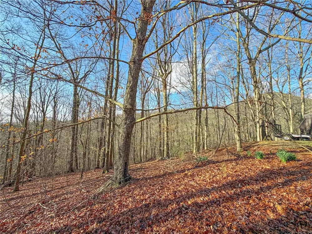 1565 Shoal Creek Road NW Clermont, GA 30527