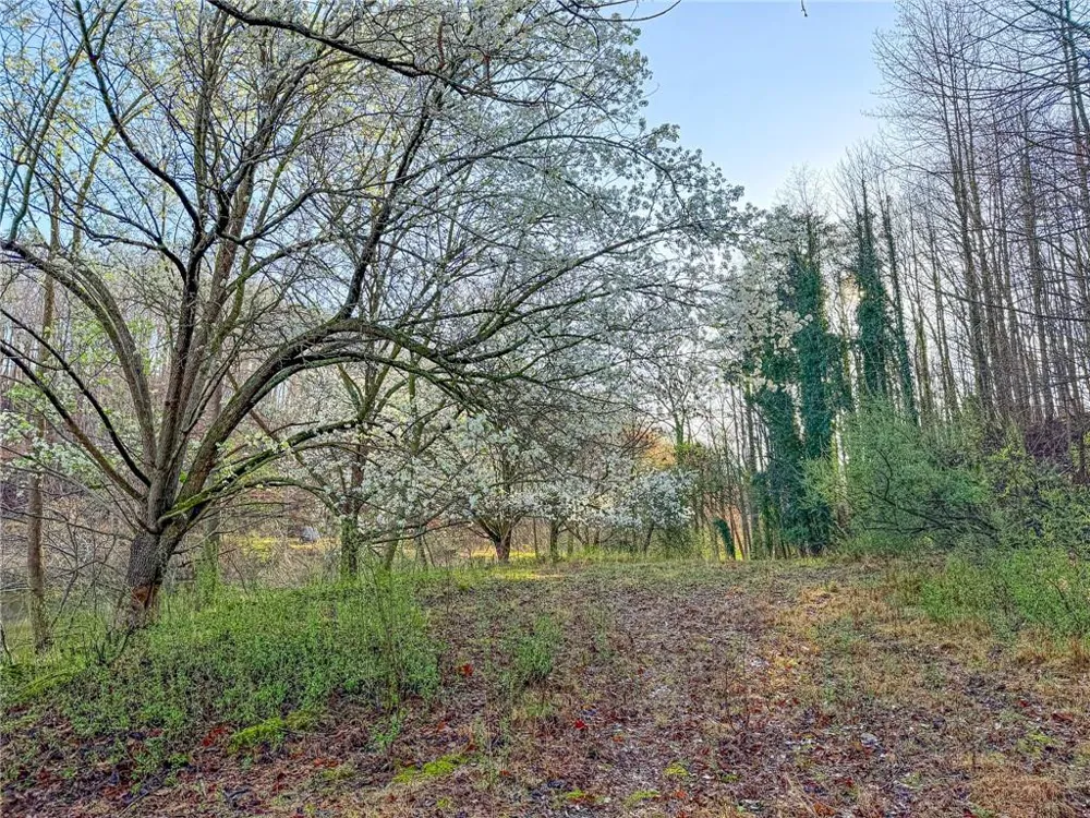 1565 Shoal Creek Road NW Clermont, GA 30527