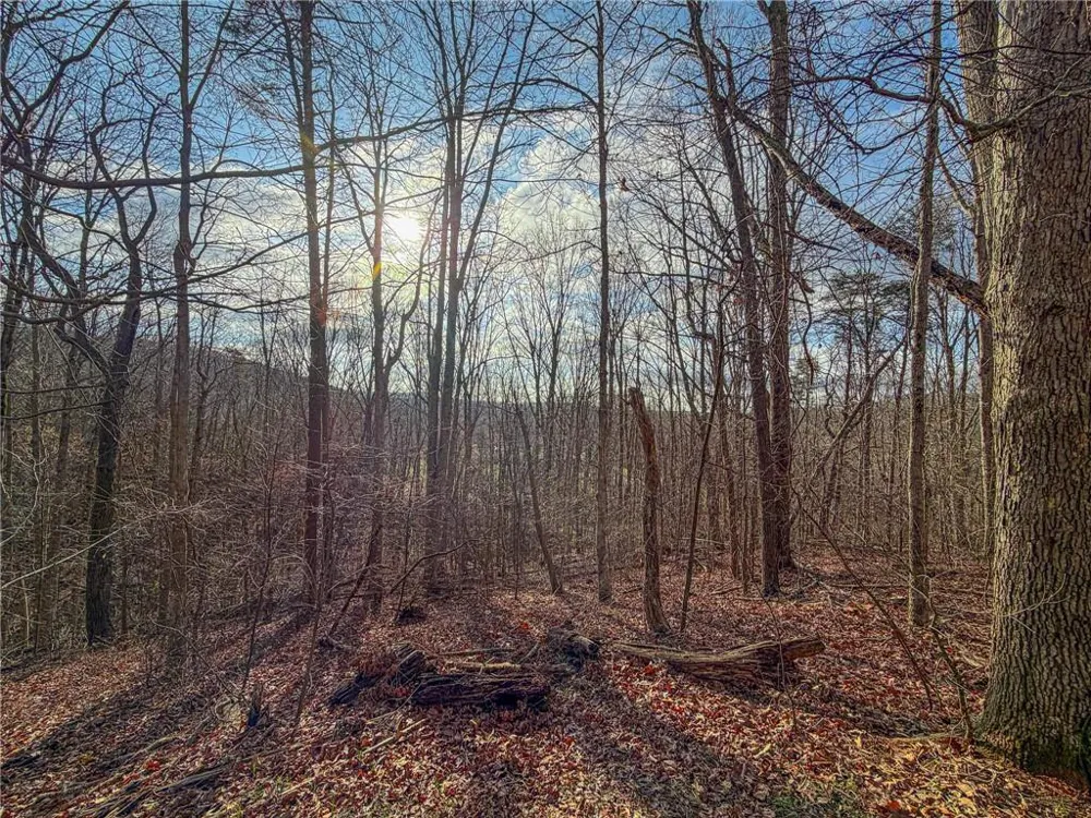 1565 Shoal Creek Road NW Clermont, GA 30527
