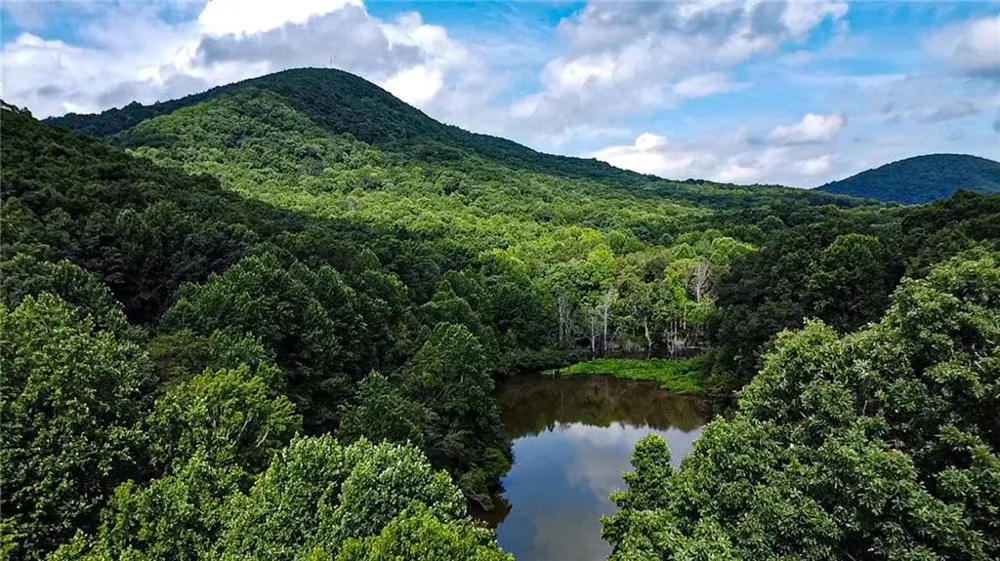 1565 Shoal Creek Road NW Clermont, GA 30527
