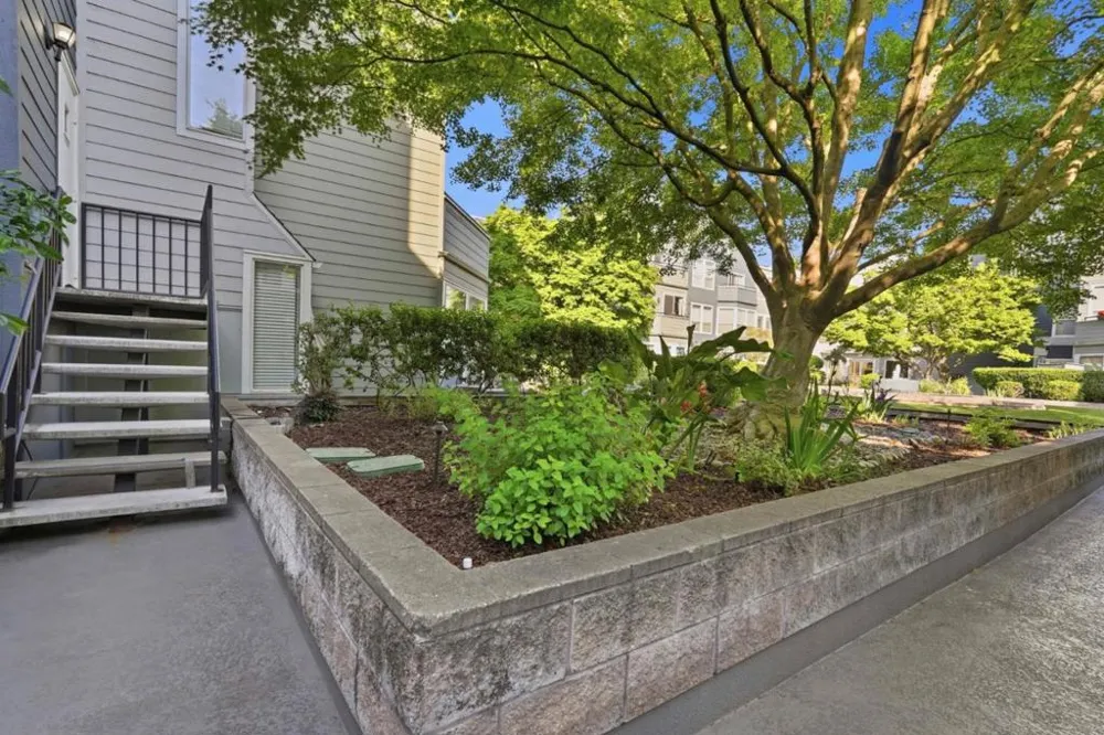 411 Park Avenue #105 San Jose, CA 95110