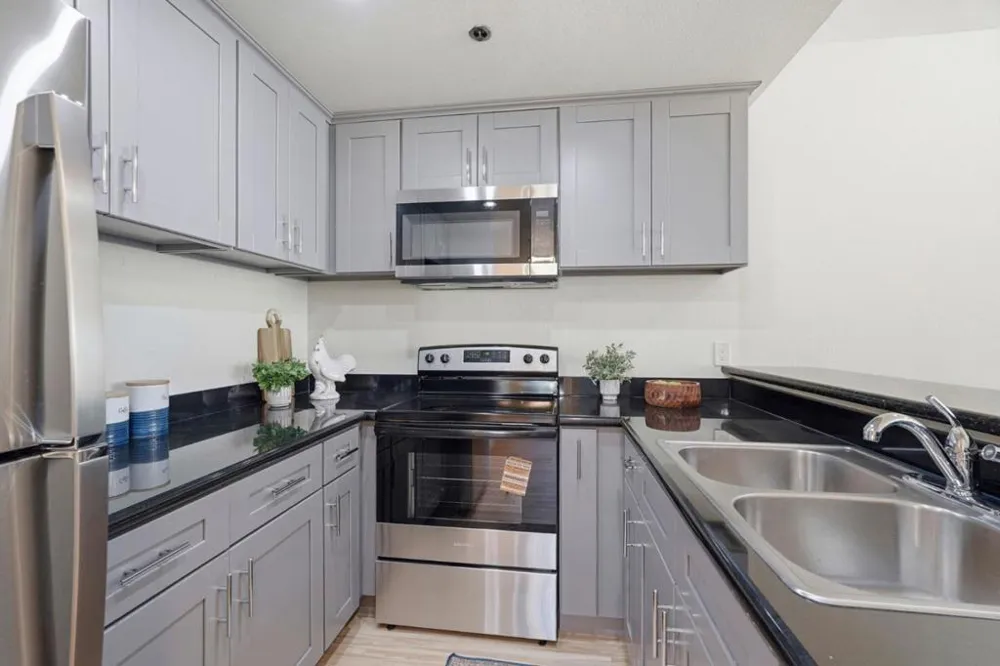411 Park Avenue #105 San Jose, CA 95110