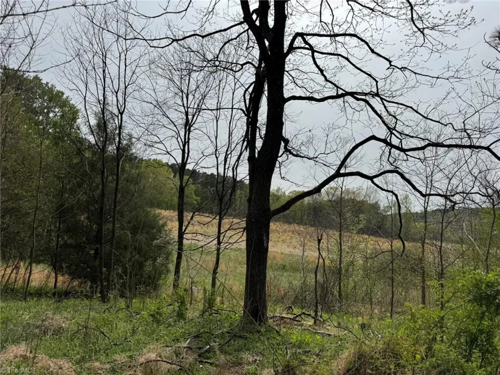 6988 Salem Chapel Road Walnut Cove, NC 27052