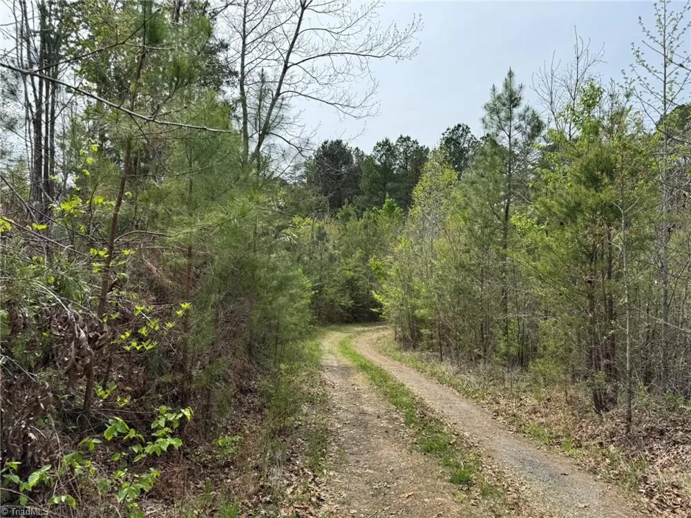 6988 Salem Chapel Road Walnut Cove, NC 27052
