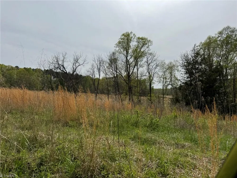 6988 Salem Chapel Road Walnut Cove, NC 27052